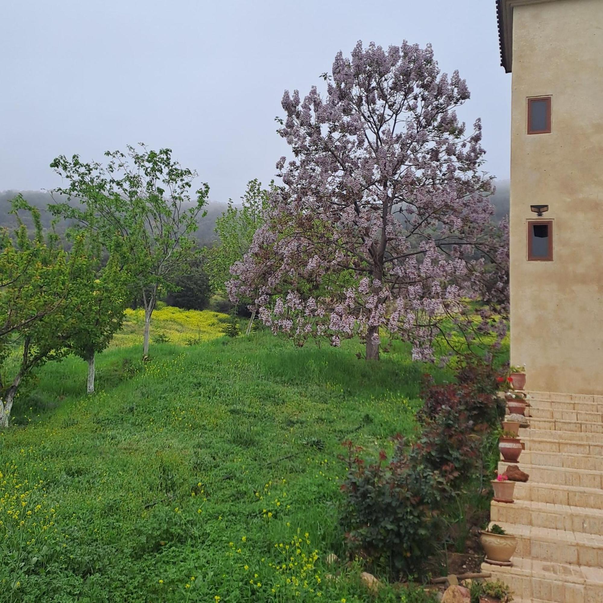 Le Chene D'Azrou Hotel Kültér fotó