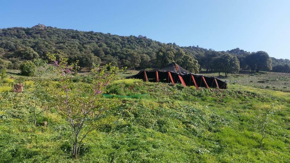 Le Chene D'Azrou Hotel Kültér fotó